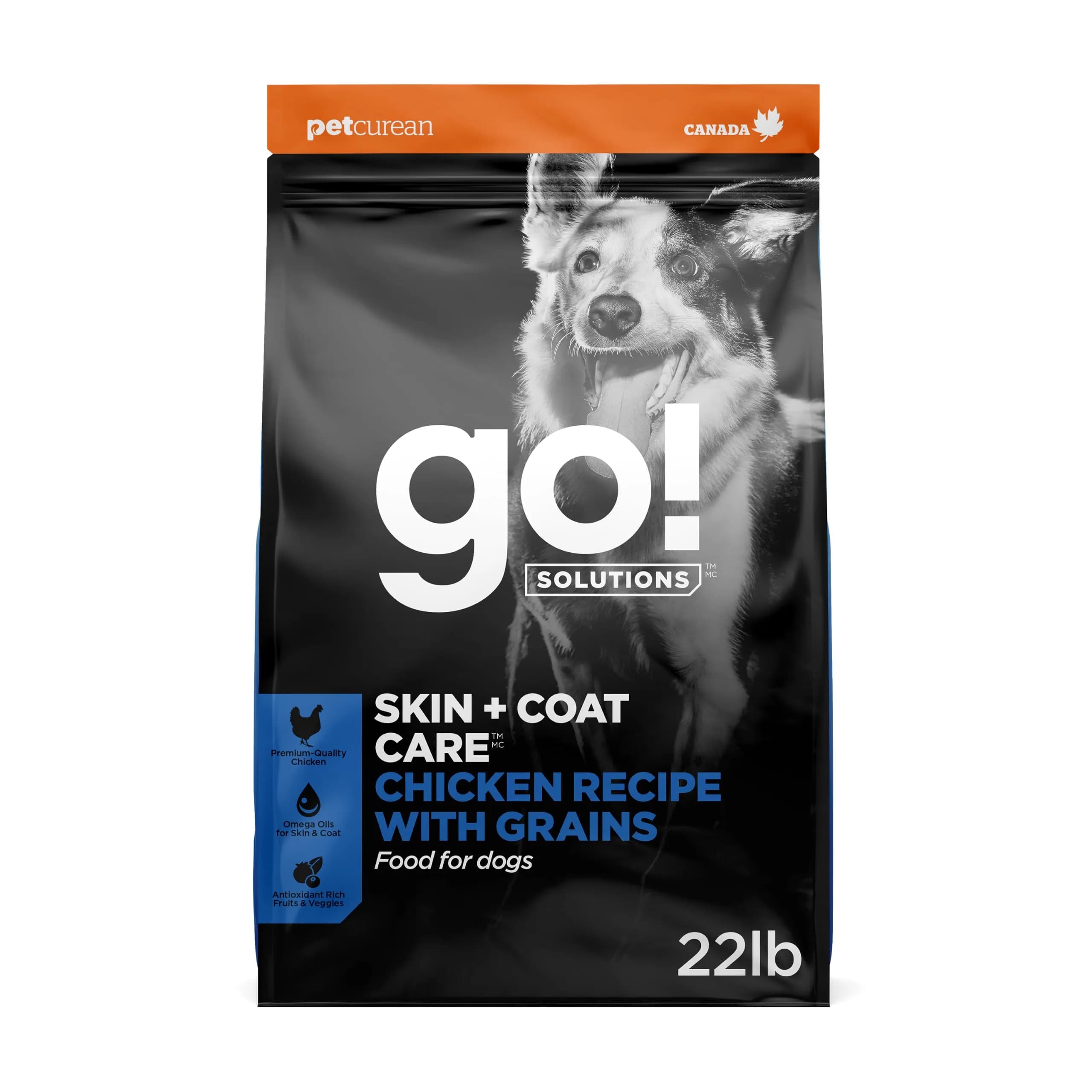 Go! Solutions Skin + Coat Care Chicken Dry Dog Food, 22 lb | Supports Healthy Skin & Shiny Coat — Chicken - All Life Stages
