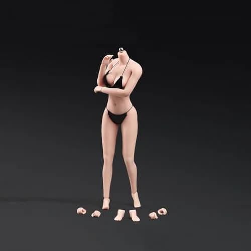 Fremego 1/6 Scale Female Body, 12-inch Asian Girl Type Seamless Figure Body with Large Bust & Stainless Steel Skeleton | Flexible Action Figure for Collectors thumbnail 2