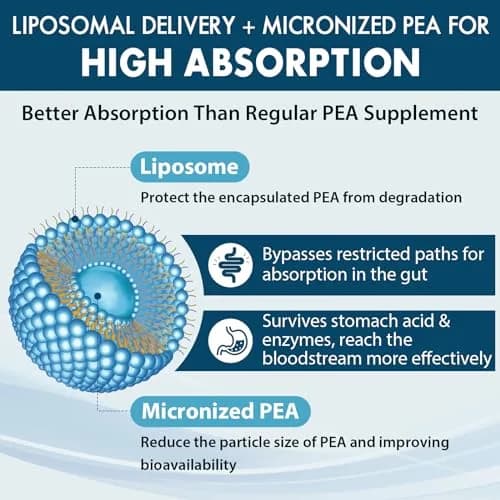 Ulmubra Liposomal Palmitoylethanolamide 1300 MG + Luteolin 100 MG | Superior Absorption for Discomfort Relief (70-120 chars) thumbnail 3
