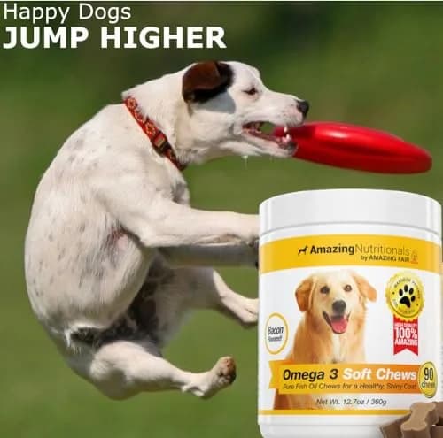Amazing Omega 3 for Dogs - Fish Oil Soft Chews 90 Bacon Flavored | Skin & Coat Support thumbnail 3