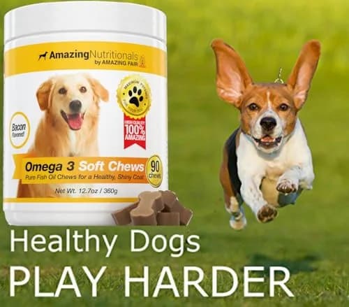 Amazing Omega 3 for Dogs - Fish Oil Soft Chews 90 Bacon Flavored | Skin & Coat Support thumbnail 4