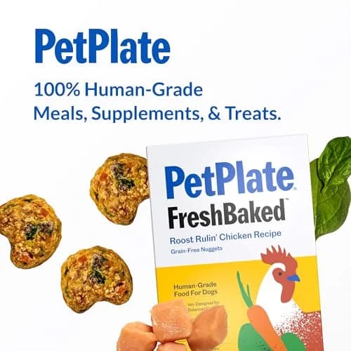PetPlate Roost Rulin' Chicken Air-Dried Dog Food 2lbs | Human-Grade, Grain-Free, Supports Digestion & Fresh Breath thumbnail 8