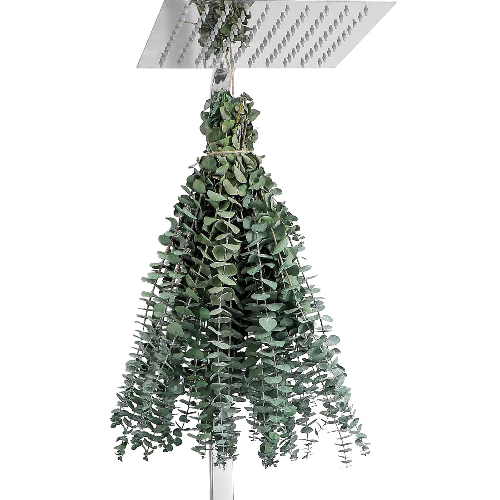 FAVOWREATH 12 Pcs Real Eucalyptus Stems 17" | Natural Dried Eucalyptus for Shower Hanging & Home Decor - view 7