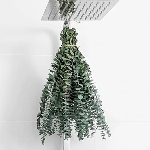 FAVOWREATH 12 Pcs Real Eucalyptus Stems 17" | Natural Dried Eucalyptus for Shower Hanging & Home Decor thumbnail 1