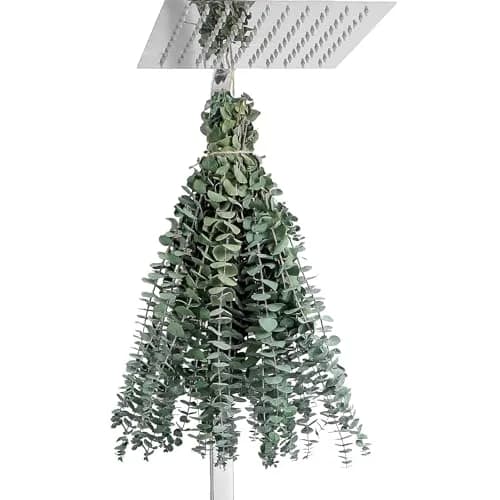FAVOWREATH 12 Pcs Real Eucalyptus Stems 17" | Natural Dried Eucalyptus for Shower Hanging & Home Decor thumbnail 7