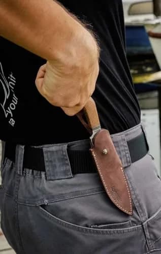 LionSteel WILLY Compact Fixed Blade Knife | Italian M390 Steel, Solid Handle, Titanium Guard (Olive Wood) thumbnail 7