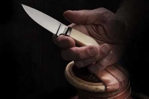 LionSteel WILLY Compact Fixed Blade Knife | Italian M390 Steel, Solid Handle, Titanium Guard (Olive Wood) thumbnail 3