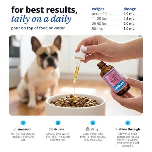 Taily Liquid Collagen for Dogs & Cats, 4 Fl Oz | Itch & Coat Support with Grass Fed Collagen thumbnail 5