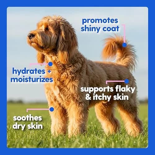 Taily Liquid Collagen for Dogs & Cats, 4 Fl Oz | Itch & Coat Support with Grass Fed Collagen thumbnail 8
