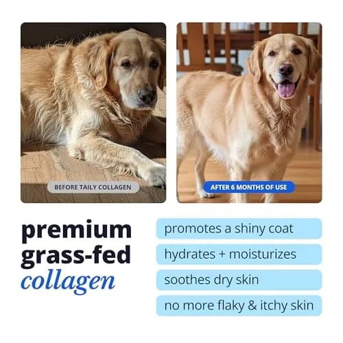 Taily Liquid Collagen for Dogs & Cats, 4 Fl Oz | Itch & Coat Support with Grass Fed Collagen thumbnail 2