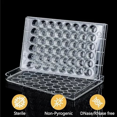 4E's USA 48 Well Cell Culture Plate with Lid | Tissue Culture Treated, Sterile, High Clarity (70-120 chars) thumbnail 3