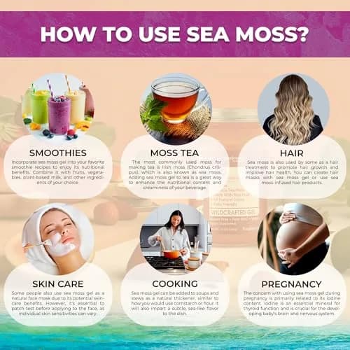 WELLNESS LABSRX Irish Sea Moss Gel Superfood Elderberry Flavor 296ml (10 Fl Oz) | Nutrient-Rich Superfood thumbnail 7