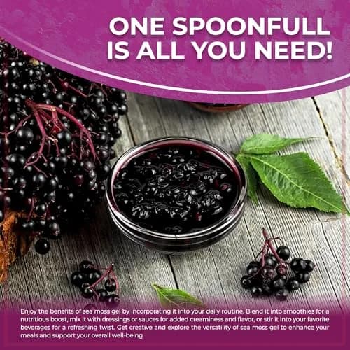 WELLNESS LABSRX Irish Sea Moss Gel Superfood Elderberry Flavor 296ml (10 Fl Oz) | Nutrient-Rich Superfood thumbnail 8