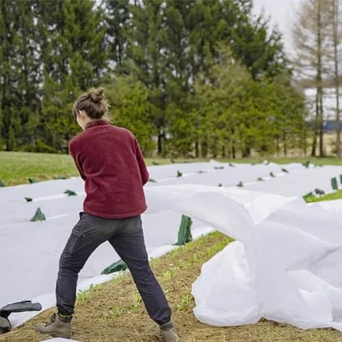 Kijamilee Plant Covers Freeze Protection 10FT x 50FT | Reusable Frost Cloths for Outdoor Plants thumbnail 6