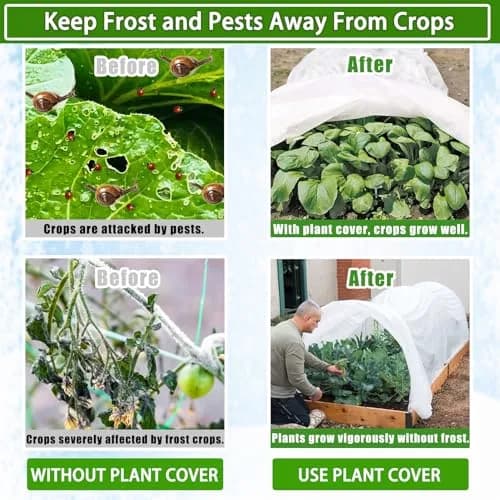 Kijamilee Plant Covers Freeze Protection 10FT x 50FT | Reusable Frost Cloths for Outdoor Plants thumbnail 3