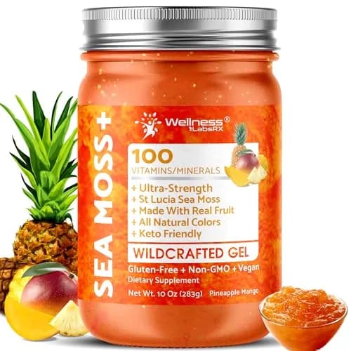 WELLNESS LABSRX Irish Sea Moss Gel Superfood Pineapple Mango 10 oz (296 ml) | Nutrient-Rich Superfood for Wellness thumbnail 1