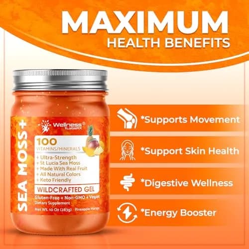 WELLNESS LABSRX Irish Sea Moss Gel Superfood Pineapple Mango 10 oz (296 ml) | Nutrient-Rich Superfood for Wellness thumbnail 5