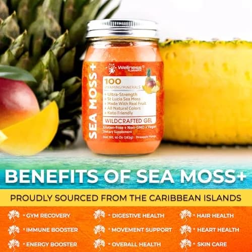 WELLNESS LABSRX Irish Sea Moss Gel Superfood Pineapple Mango 10 oz (296 ml) | Nutrient-Rich Superfood for Wellness thumbnail 6