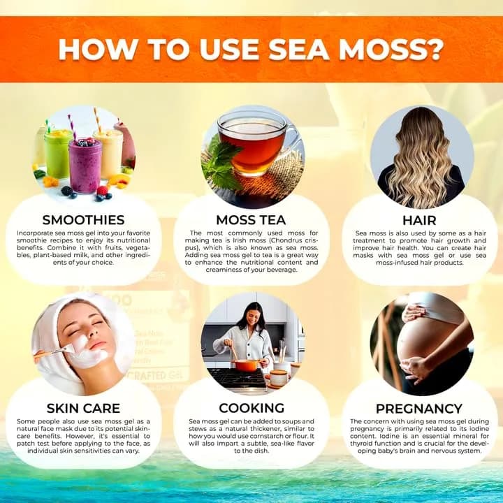 WELLNESS LABSRX Irish Sea Moss Gel Superfood Pineapple Mango 10 oz (296 ml) | Nutrient-Rich Superfood for Wellness thumbnail 8