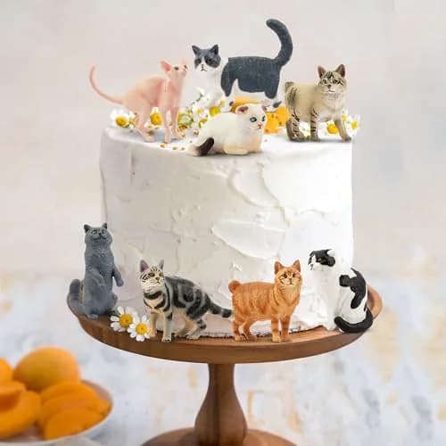 EYSCOTA 12PCS Cat Figurines | Realistic Kitten Toys & Cake Toppers for Kids & Children thumbnail 7