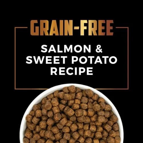 Sportsman's Pride Grain-Free Salmon & Sweet Potato Dog Food 30lb | Supports Joint & Coat thumbnail 5