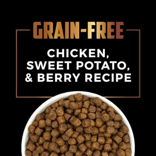 Sportsman's Pride Grain-Free Chicken, Sweet Potato & Berry Dog Food 13.6kg (30 lb) | Supports Sensitive Dogs thumbnail 4