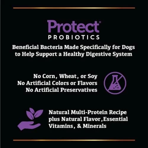Sportsman's Pride Grain-Free Chicken, Sweet Potato & Berry Dog Food 13.6kg (30 lb) | Supports Sensitive Dogs thumbnail 7