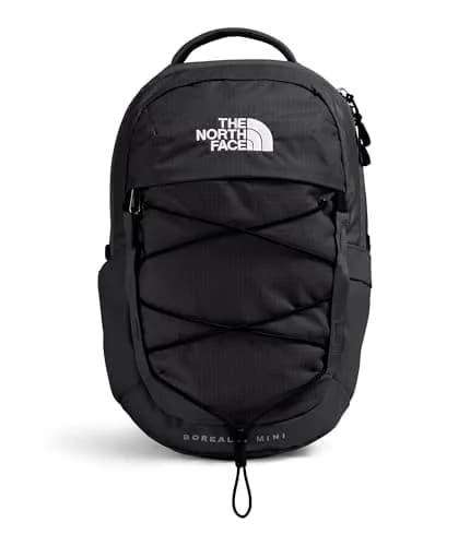 The North Face Borealis Mini Backpack | 10L City & Travel Companion thumbnail 1