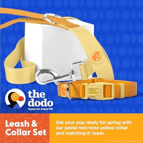 The Dodo All Nylon Yellow Collar and Leash - Medium | Waterproof & Matching Set for Dogs thumbnail 2