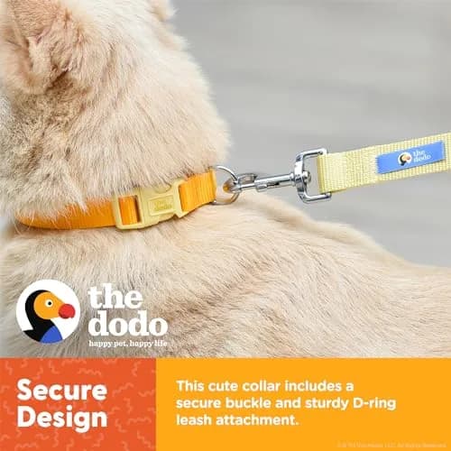 The Dodo All Nylon Yellow Collar and Leash - Medium | Waterproof & Matching Set for Dogs thumbnail 3