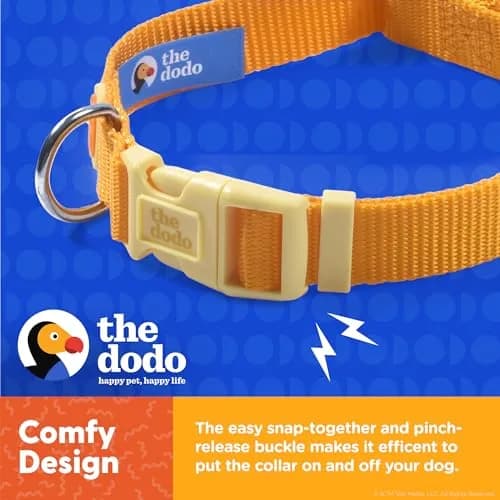 The Dodo All Nylon Yellow Collar and Leash Set - Small; Waterproof Dog Leash & Collar, Perfect for Beach or Lake Trips thumbnail 5