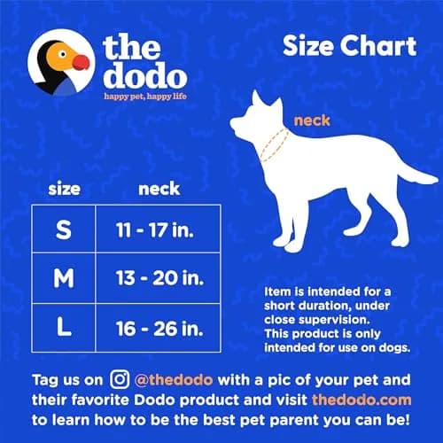 The Dodo All Nylon Yellow Collar and Leash Set - Small; Waterproof Dog Leash & Collar, Perfect for Beach or Lake Trips thumbnail 7