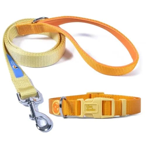 The Dodo All Nylon Yellow Collar and Leash Set - Small; Waterproof Dog Leash & Collar, Perfect for Beach or Lake Trips thumbnail 1