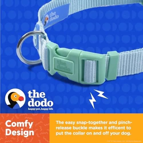 The Dodo All Nylon Blue and Green Collar and Leash Set - Small; Matching Waterproof Dog Accessories thumbnail 5