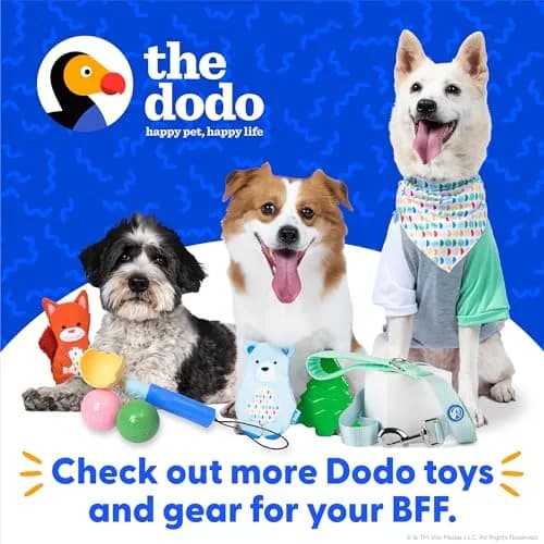 The Dodo All Nylon Blue and Green Collar and Leash Set - Small; Matching Waterproof Dog Accessories thumbnail 8