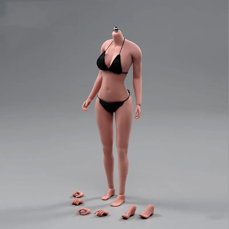 Fremego 1/6 Scale Asian Female Body 12-inch Seamless Figure with Large Bust | ASTM-Tested & BPA-Free Toy Figure thumbnail 2