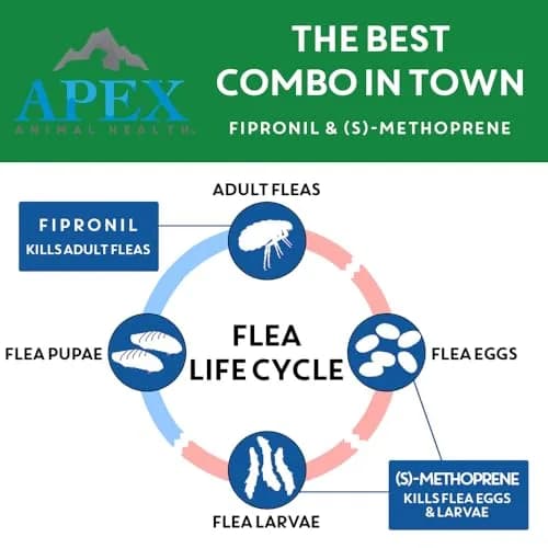 APEX ANIMAL HEALTH Flea & Tick Prevention Drops for Cats >1.5 lbs | 6-Month Supply thumbnail 4