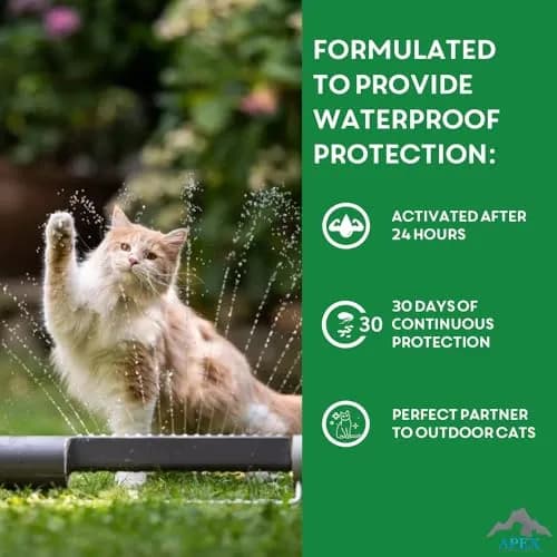 APEX ANIMAL HEALTH Flea & Tick Prevention Drops for Cats >1.5 lbs | 6-Month Supply thumbnail 7