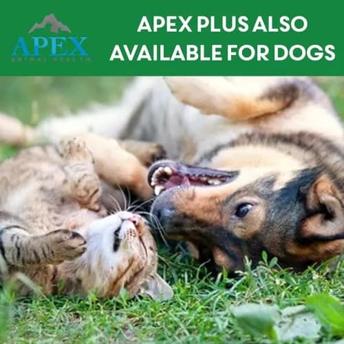 APEX ANIMAL HEALTH Flea & Tick Prevention Drops for Cats >1.5 lbs | 6-Month Supply thumbnail 8