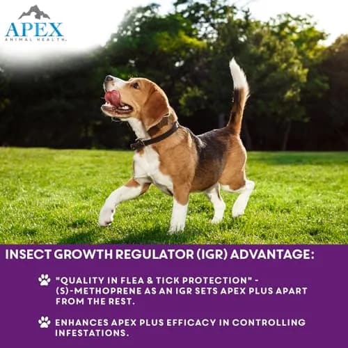 APEX ANIMAL HEALTH Apex Plus Flea & Tick Prevention for Large Dogs 45-88 lbs | 6-Month Supply thumbnail 5