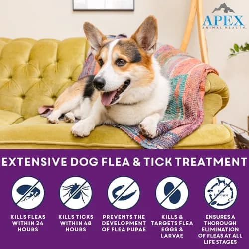 APEX ANIMAL HEALTH Apex Plus Flea & Tick Prevention for Large Dogs 45-88 lbs | 6-Month Supply thumbnail 2