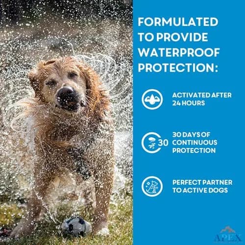 APEX ANIMAL HEALTH Apex Plus Flea & Tick Prevention for Medium Dogs 23-44 lbs | 3-Month Supply thumbnail 7