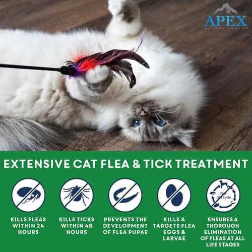 APEX ANIMAL HEALTH Flea & Tick Prevention Drops for Cats >1.5 lbs | 3-Month Supply, Easy & Safe thumbnail 2