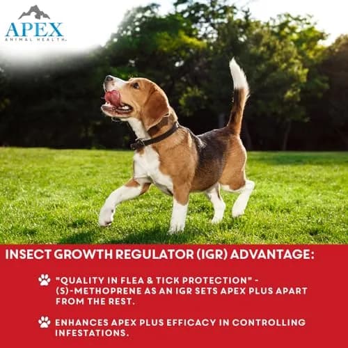 APEX ANIMAL HEALTH Apex Plus Flea & Tick Prevention for XL Dogs 89-132 lbs | 3-Month Supply thumbnail 5