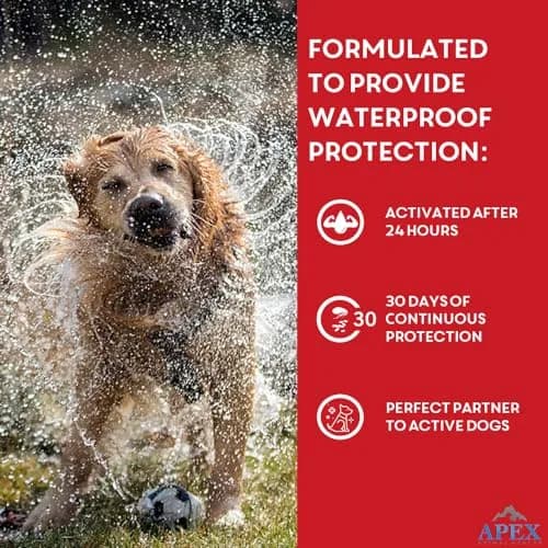 APEX ANIMAL HEALTH Apex Plus Flea & Tick Prevention for XL Dogs 89-132 lbs | 3-Month Supply thumbnail 7