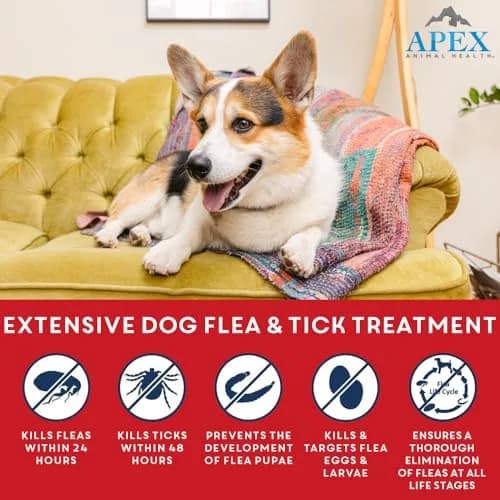 APEX ANIMAL HEALTH Apex Plus Flea & Tick Prevention for XL Dogs 89-132 lbs | 3-Month Supply thumbnail 2