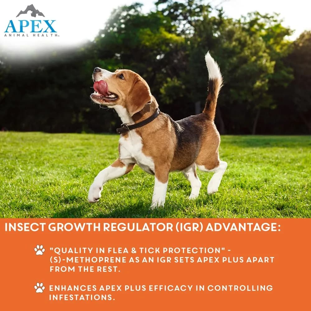 APEX ANIMAL HEALTH Apex Plus Flea & Tick Prevention for Small Dogs 5-22 lbs | 3-Month Supply thumbnail 5