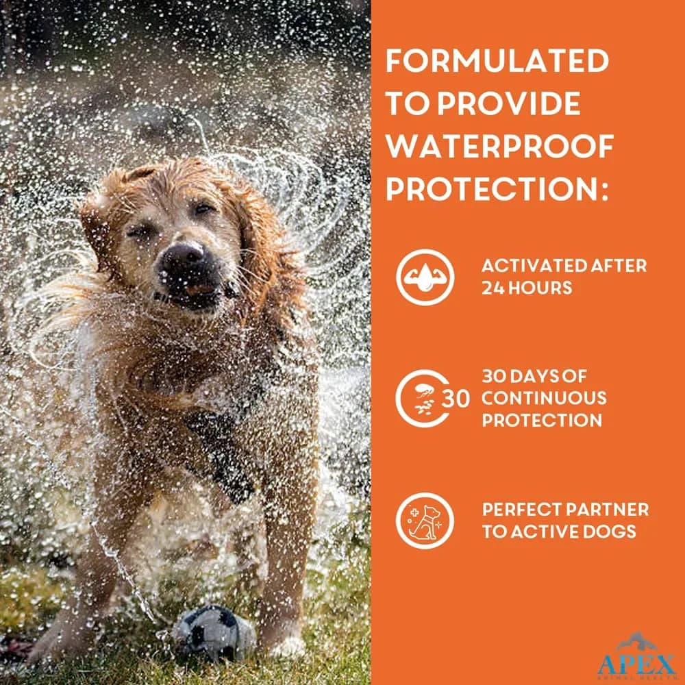 APEX ANIMAL HEALTH Apex Plus Flea & Tick Prevention for Small Dogs 5-22 lbs | 3-Month Supply thumbnail 7