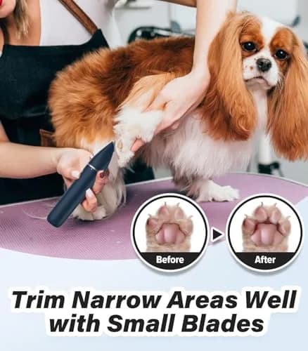 Casfuy Cordless Hair Trimmer for Pets | Low Noise, USB Rechargeable, Double Stainless Steel & Ceramic Blades (0.4''-1'') thumbnail 2