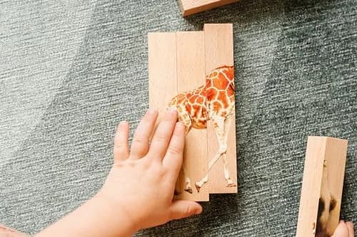 Montessori & Me Wooden Animal Chunky Puzzles for Toddlers 2+ Years - 4-in-1 Safari Animal Block Puzzle Toy | Educational STEM Learning thumbnail 5